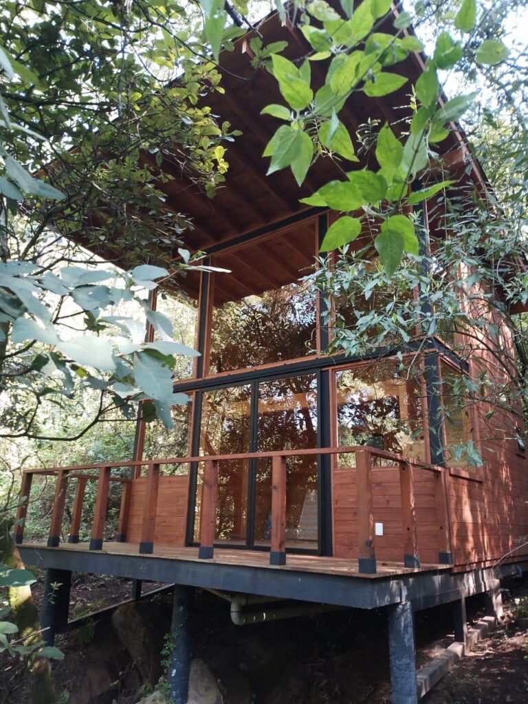 0390db8e 6f95 4e2e a50b e34ef0667a26