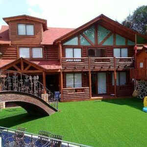 pedregal, ciudad de méxico